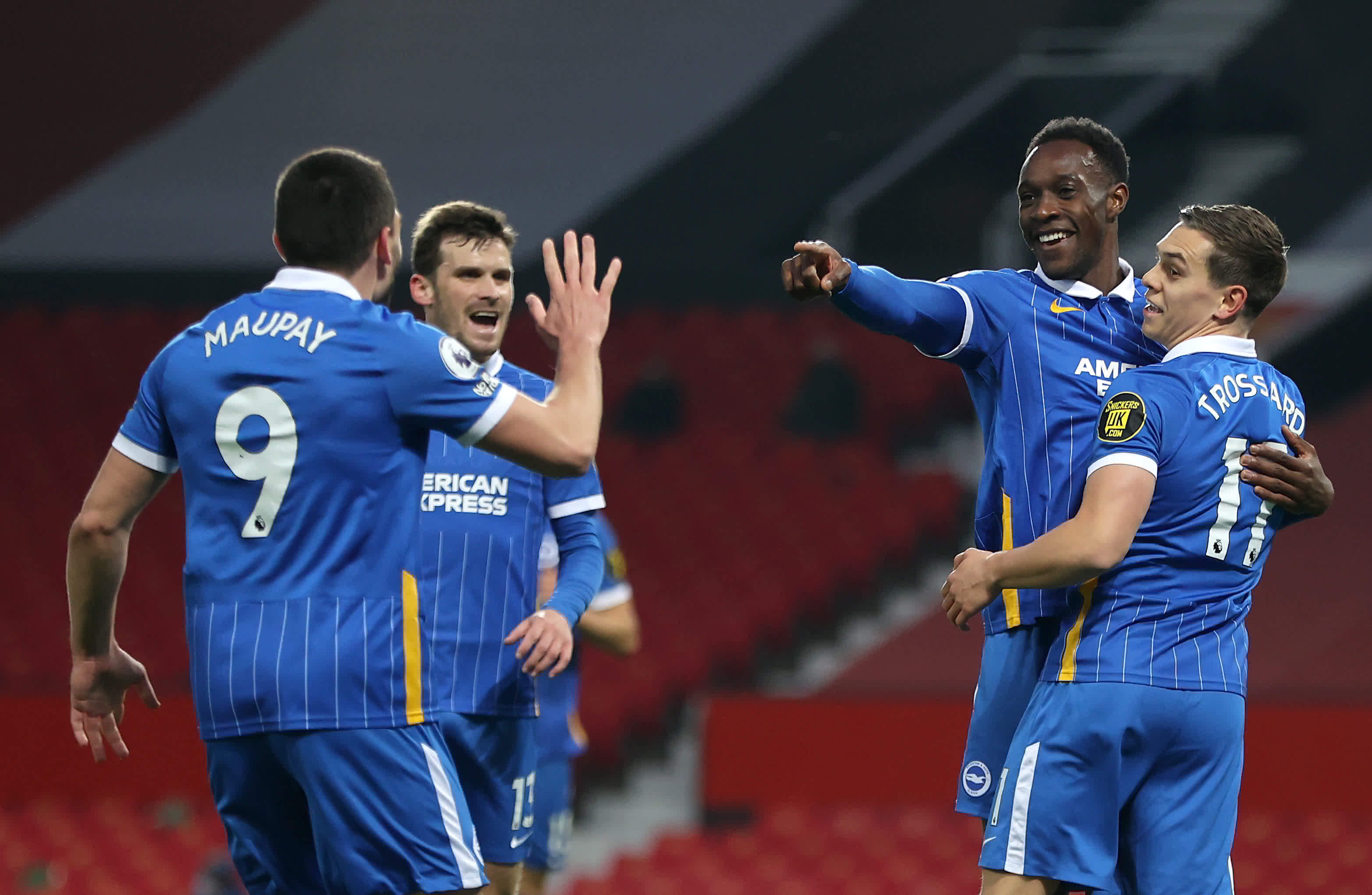 这一罕见的 这一罕见的